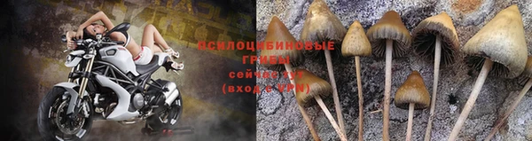 меф Армянск